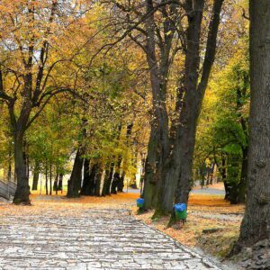 Aleja na Górze św. Anny