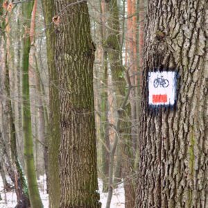 Leśna ścieżka rowerowa