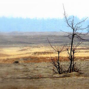 Pustynia Błędowska