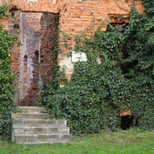 Ruiny pałacu Eichendorffów