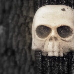 Czaszka na drzewie