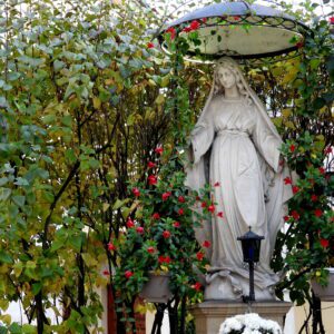 Maryja wśród róż