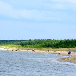 Plaża na Wyspie Sobieszewskiej