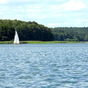 Żaglówka na jeziorze
