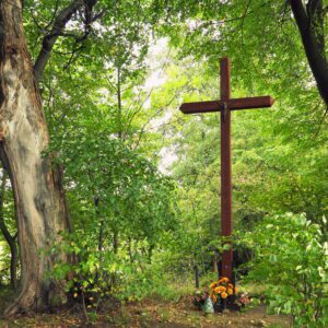 Krzyż w środku lasu