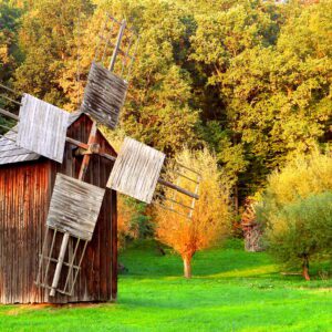 Wiatrak na skraju lasu