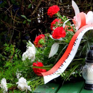 Kwiaty biało-czerwone