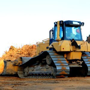 spycharka gąsienicowa