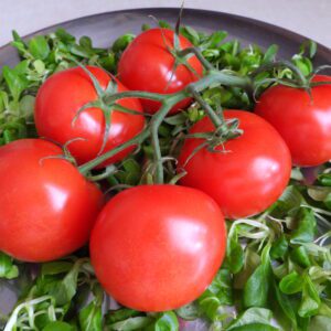 Soczyste pomidory