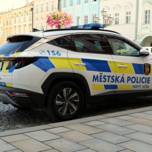 mestska policie