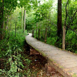 ścieżka edukacyjna Żebra żubra