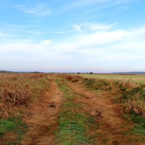 Biebrzański Park Narodowy