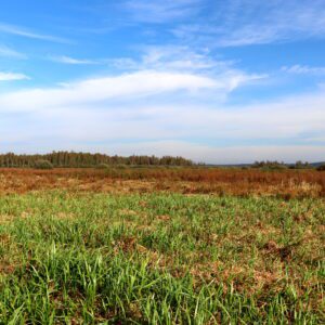 Biebrzański Park Narodowy