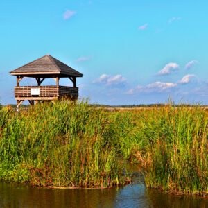 Narwiański Park Narodowy