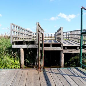 Narwiański Park Narodowy