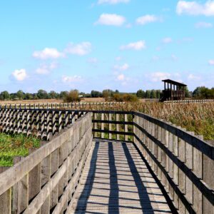 Narwiański Park Narodowy