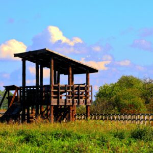 Narwiański Park Narodowy